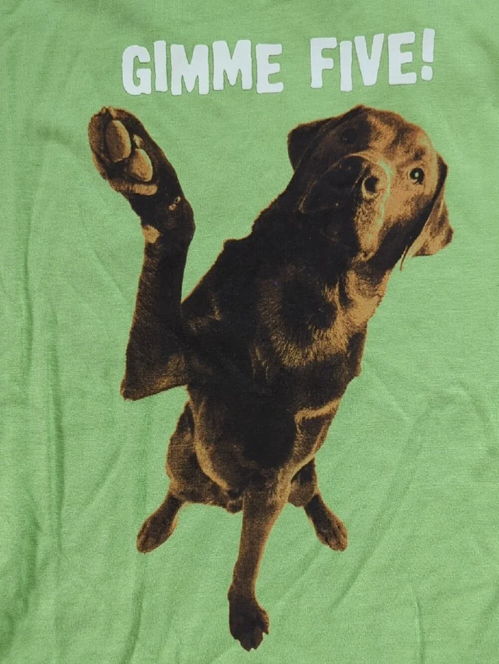 NWT Gymboree Gimme Five! Dog Graphic Tee Size 12